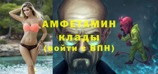 ALPHA PVP Покров