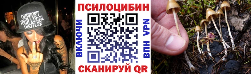 наркошоп  Сарапул  Псилоцибиновые грибы Cubensis 