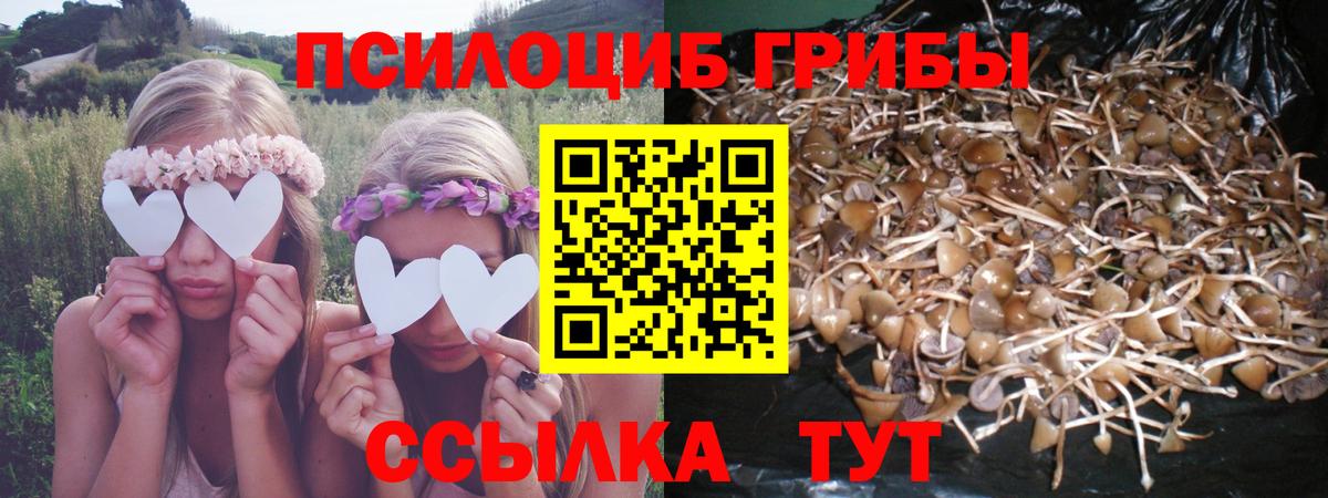 Псилоцибиновые грибы Psilocybe  Сарапул  Псилоцибиновые грибы Magic Shrooms 